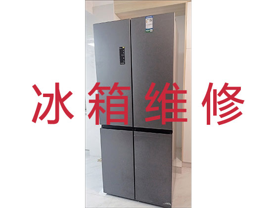 苏州专业电冰箱安装